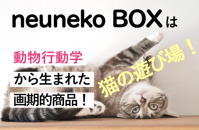 猫の遊び場neunekoBOXは動物行動学から生まれた画期的な商品です